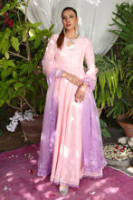 Picture of Carnation