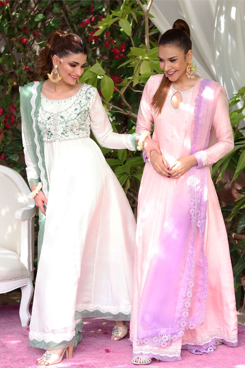 Picture of Carnation