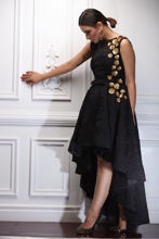 Picture of Star of Night